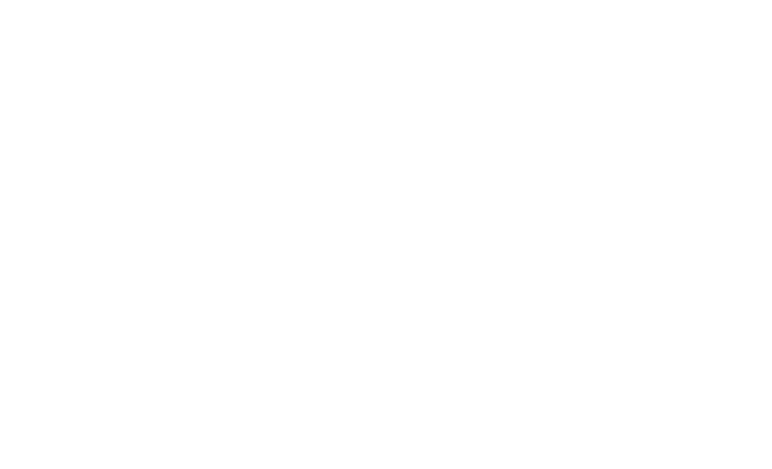 logo2
